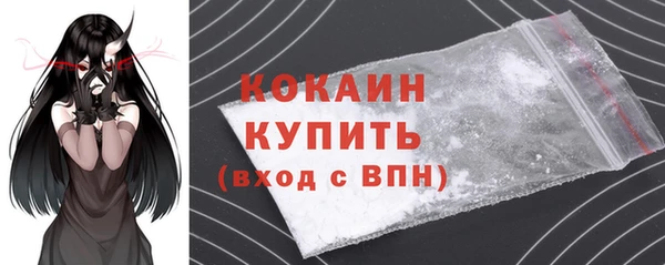 дживик Бронницы