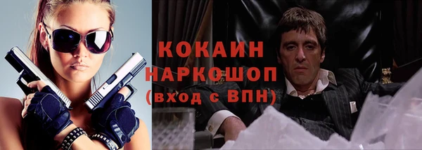 дживик Бронницы