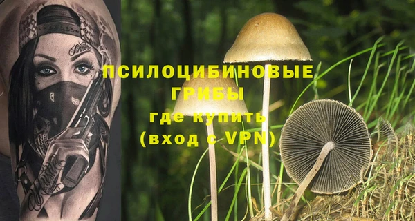 дживик Бронницы