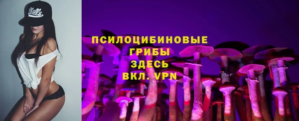 дживик Бронницы