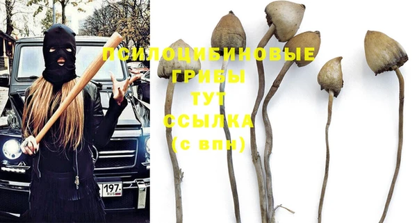 дживик Бронницы