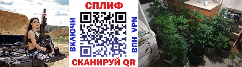 Шишки марихуана индика  хочу   Лодейное Поле 